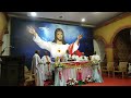 golden jubilee mass in malayalam of fr. james at christeen kerala 01.05.2023