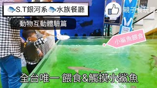 【水族餐廳】S.T.銀河系俱樂部➨全台唯一可以餵食\u0026觸摸小鯊魚的地方！還有海星海膽  爬蟲類 鸚鵡互動體驗｜親子玩樂 家族聚餐都推薦