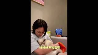 猫と尹正