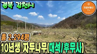 경북 김천시 구성면 귀농귀촌 자두나무 과수원매매 땅 2,294평 김천토지 김천부동산