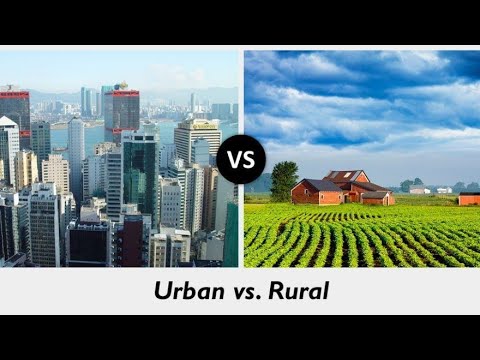 Comparative Essay On City Life Vs. Village Life – Telegraph