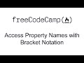 Access Property Names with Bracket Notation - Basic Data Structures - Free Code Camp