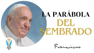 ▷ PAPA FRANCISCO “REFLEXIÓN de la PARÁBOLA del SEMBRADOR” #papafrancisco #parábolas