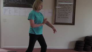 Tai Chi Movements: Ward off, Roll Back, Press & Push