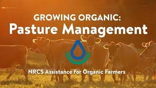 Pasture Management