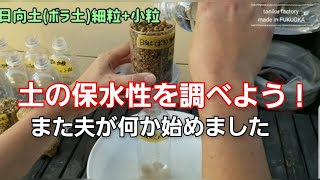 【多肉検証】夫の小さいころの夢は博士だそうです