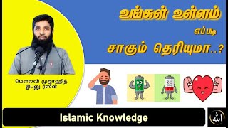 உள்ளம் எப்படி சாக ஆரம்பிக்கும் தெரியுமா..? - மௌலவி முஜாஹித் இப்னு ரஸீன்