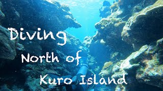 Amazing Kerama diving 1 Kuro Island（慶良間諸島黒島北ダイビング）