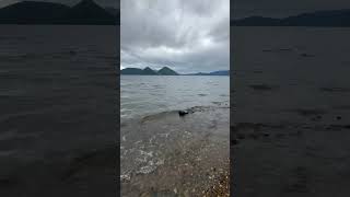 【4K  15秒の北海道旅行　洞爺湖の波の音】　癒し　水の音　カヤック　絶景　自然音　環境音　shorts water stream natural sound  bird chirping