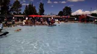 Pooch Plunge