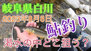 2023年8月8日鮎釣り岐阜県白川　チョー渇水だけど　どこ狙うの？