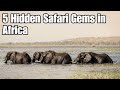 5 Hidden Safari Gems in Africa (70% More Affordable!) | 2025 Wildlife Guide
