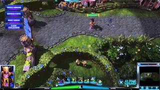 Witchdoctor Spiders - Heroes of the Storm Alpha