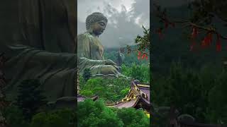 Namo Buddhaya 🙏💐 || The Big Buddha (Tian Tan Buddha) #honkong #china #peace #love #buddhism #shorts