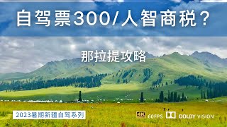 天价门票？新疆那拉提景区自驾票300/人是智商税吗？那拉提详细解读 避坑攻略