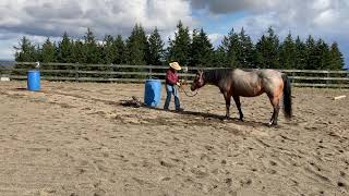 VAF 2021 March Virtual Horse Show - Class 6, Susan Fay and Blue Heart Driftin’ In Hand Trail 61 +