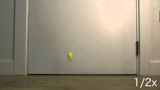 Bouncing Ball Reference