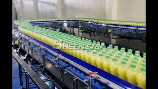 Pineapple Juice Producing Line includes Fruit Juice Pre processing suitable for PET Bottle