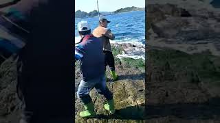 Fishing file fish剝皮魚#fishing #fish #viral #trending #subscribe #youtubeshorts #shorts