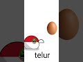 Bahasa indonesia yanh baku dan benar |CB #countryball #country #indoball