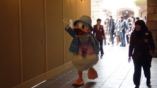 TDS ドナルドの「ミッキー待ってよ～～」お見送りディズニー Disney's friends Greeting