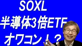 【SOXL】半導体業界の今後の見通しについて【レバレッジETF】