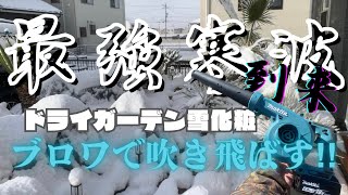 【最強寒波到来】雪をブロワで吹き飛ばす！！雪化粧のドライガーデン