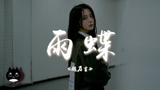 趙乃吉 - 雨蝶『我向你飛雨溫柔的墜像你的擁抱把我包圍，我向你飛多遠都不累雖然旅途中有過痛和淚。』【動態歌詞 | Pinyin Lyrics】【PENGUIN MUSIC】