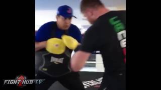 Canelo Alvarez Throwing Savage Body Shots For Gennady Golovkin fight