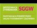 Fascynująca podróż przez układ pokarmowy człowieka