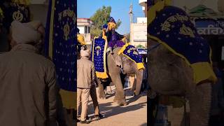 Nihang Singh || Khalsa #shorts