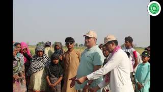 G1 Garlic Harvesting at Bhatti Model Farm 2024: Highlights and Insights