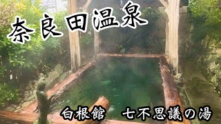 【秘湯】奈良田温泉白根館　〜奈良時代の女帝をも虜にした極上硫黄泉〜