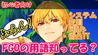 【FGO】変則？システム？6積み？FGOの用語を解説！【新規・初心者向け】【ずんだもん】