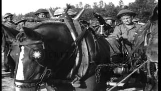 British soldiers and horses along roadway in Salerno, Italy HD Stock Footage