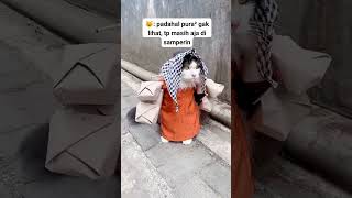 jangan halangi jalanku #funny #youtubeshorts #comedykocak #lucu #ngakak