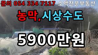 (NO.384) 영천땅 영천부동산  농막 시상수도  전기  5900만  땅사모TV