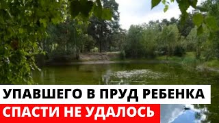 Упавшего в пруд ребенка спасти не удалось