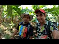 La tierra del plátano 🍌 y la iguana 🦎 en Chiapas - Mazatán, el edén del Soconusco