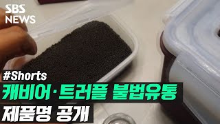 "캐비어 · 송로버섯 불법 유통"…제품명 공개  / 풀영상은 #SBS뉴스 #Shorts