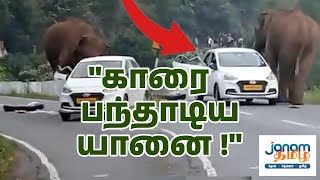 காரை பந்தாடிய யானை!