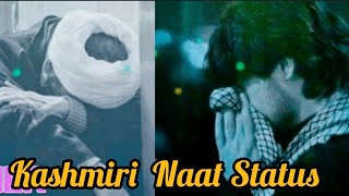 new naat Status | naats | islamic status |heart touching naat status