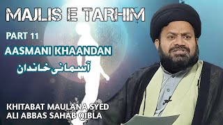 Majlis e tarhim| Khitabat Maulana Syed Ali Abbas s.b Qibla| Aasmani khaandan part 11 #majlis #video