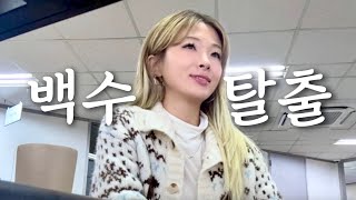 vlog 여행,워홀 다니던 내가 한국에 정착한 이유