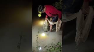 បង់ត្រីតាមប្រឡាយពេលយប់/Fishing at the canal at night