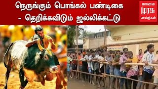 நெருங்கும் ஜல்லிக்கட்டு - மாடுகளுக்கான டோக்கன் விநியோகம் | Madurai | Jallikattu