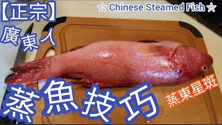 東星斑 |【正宗廣東人】蒸魚技巧@雞翼達人 | 第1集 | How to make Chinese Steamed Fish | 買咗條貴魚返來應該點蒸？ (Eng Sub)