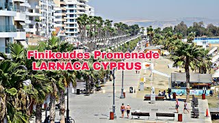 Finikoudes Promenade||Medieval Castle of Larnaca Cyprus 🇨🇾