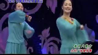 2014最新杨艺广场舞《美丽的内蒙古》