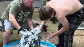 Bathing Dog Puppsy #doglovers #blueheeler #собачка